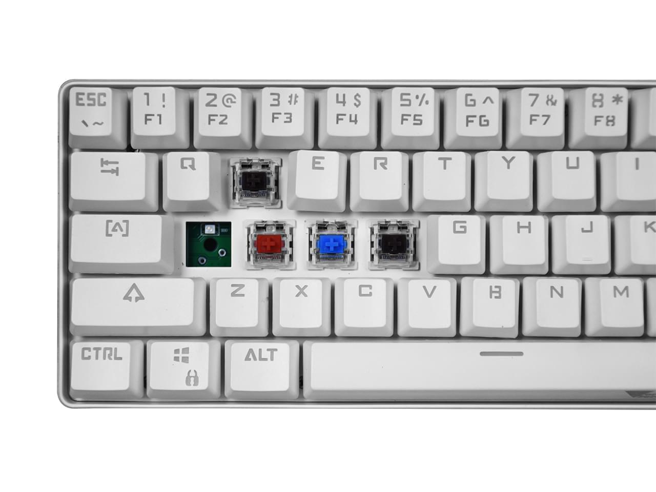 Nisuta - NSKBGZ61W
